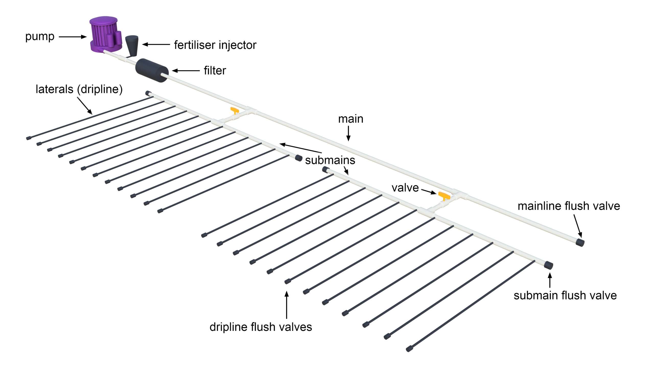 Typical-surface-drip-system-layout